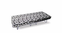 Folding Cot